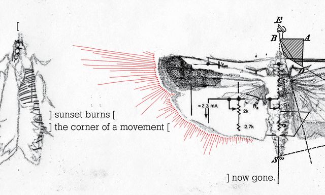 Sketch of two moths
in a collage of bones and electrical diagrams
with red arrows
and text that says "sunset burns, the corner of a movement, now gone"
